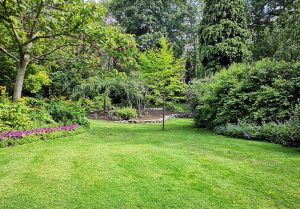 Optimiser l'expérience du jardin à Reaumont